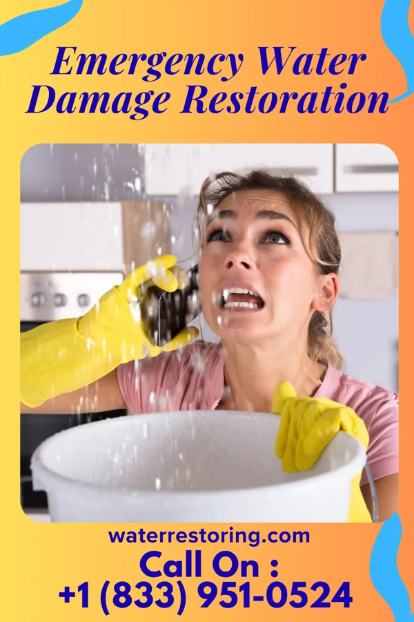 Emergency Water Damage Restoration in Birmingham, IA